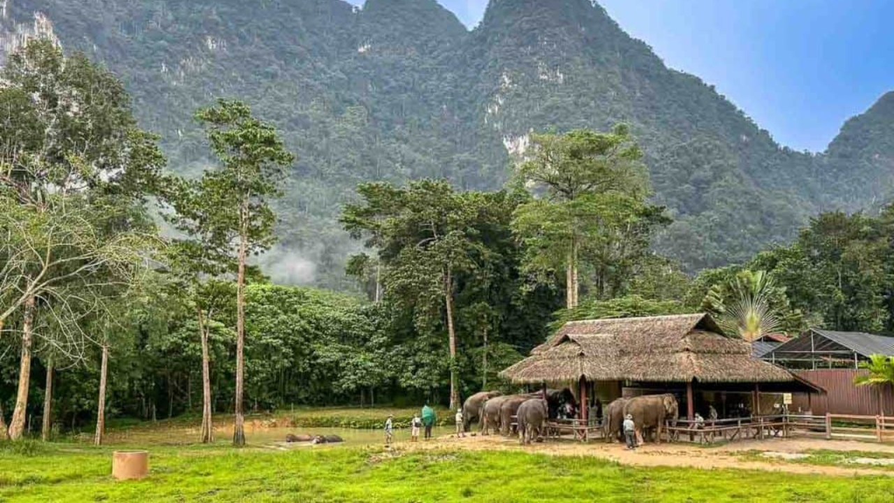 Elephant Hills (Khao Sok National Park)