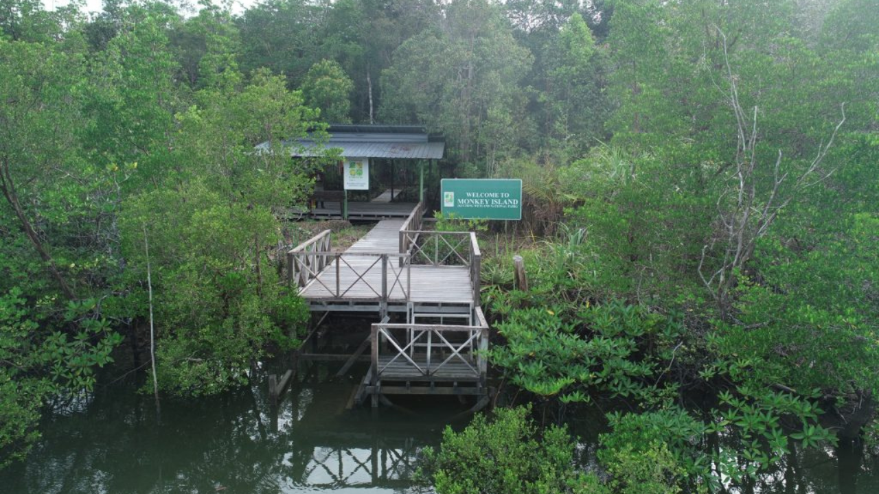 Kuching Wetlands National Park Eco-Lodge (Sarawak)