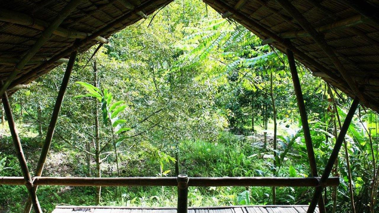 Lupa Masa Rainforest Camp (Mount Kinabalu, Sabah)