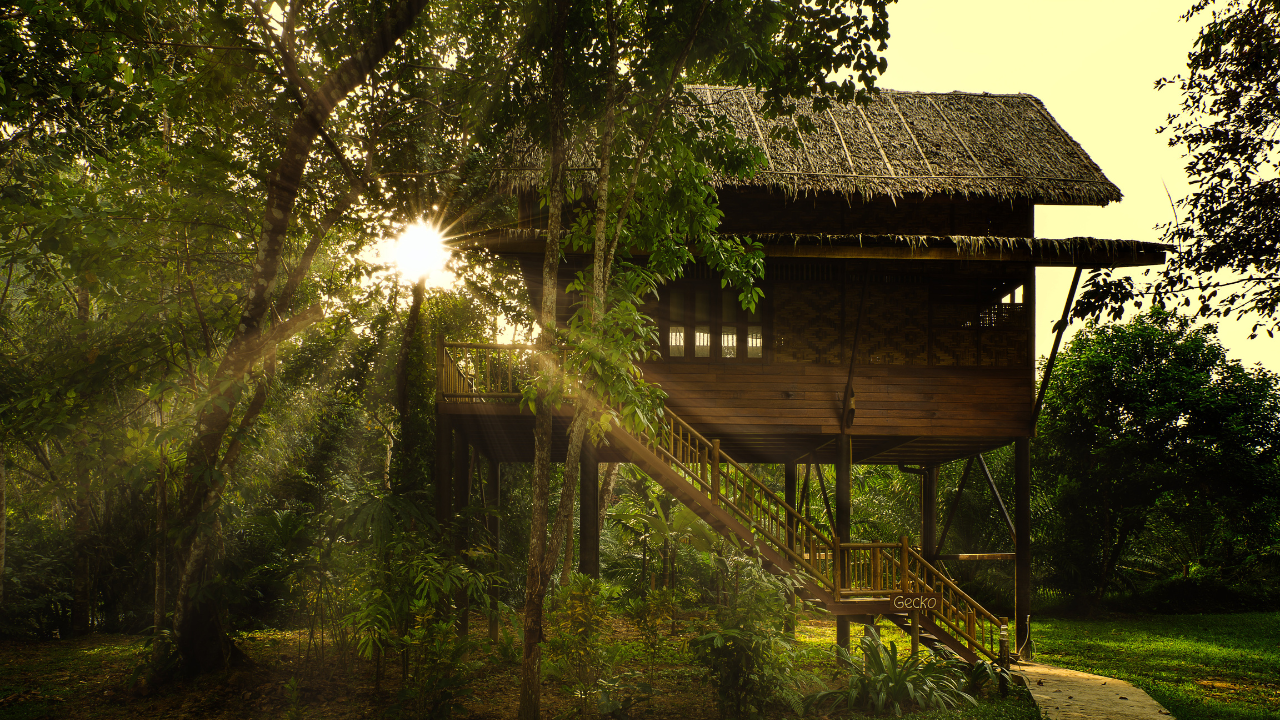 Our Jungle House (Thailand)