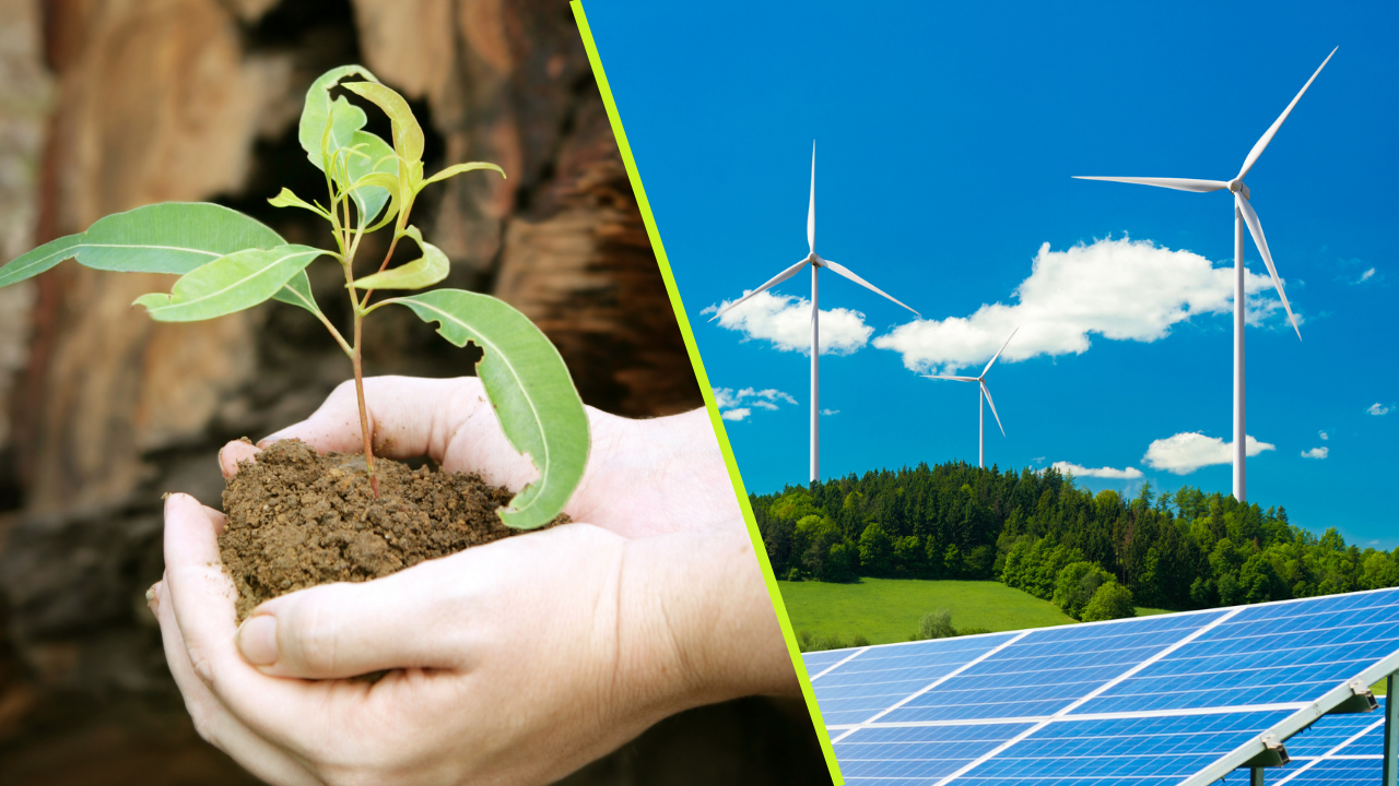 Supporting Reforestation & Clean Energy Projects