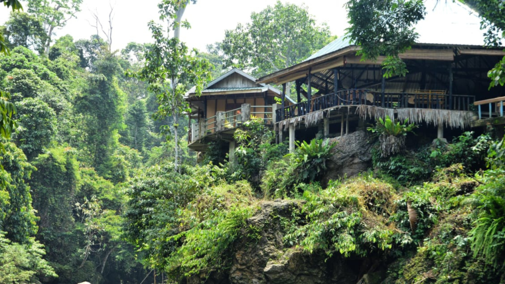 hidden eco-resort in Indonesia Tangkahan Jungle Lodge, North Sumatra