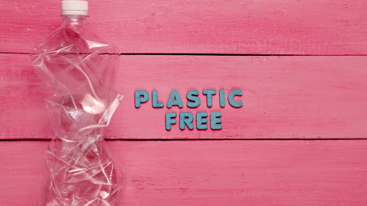 Your Plastic-Free Travel Experience Starts Now