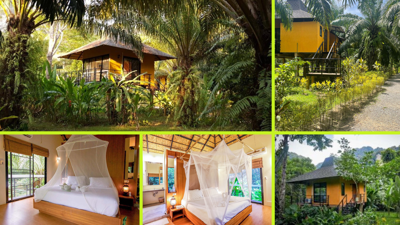 Anurak Community Lodge – Khao Sok, Thailand