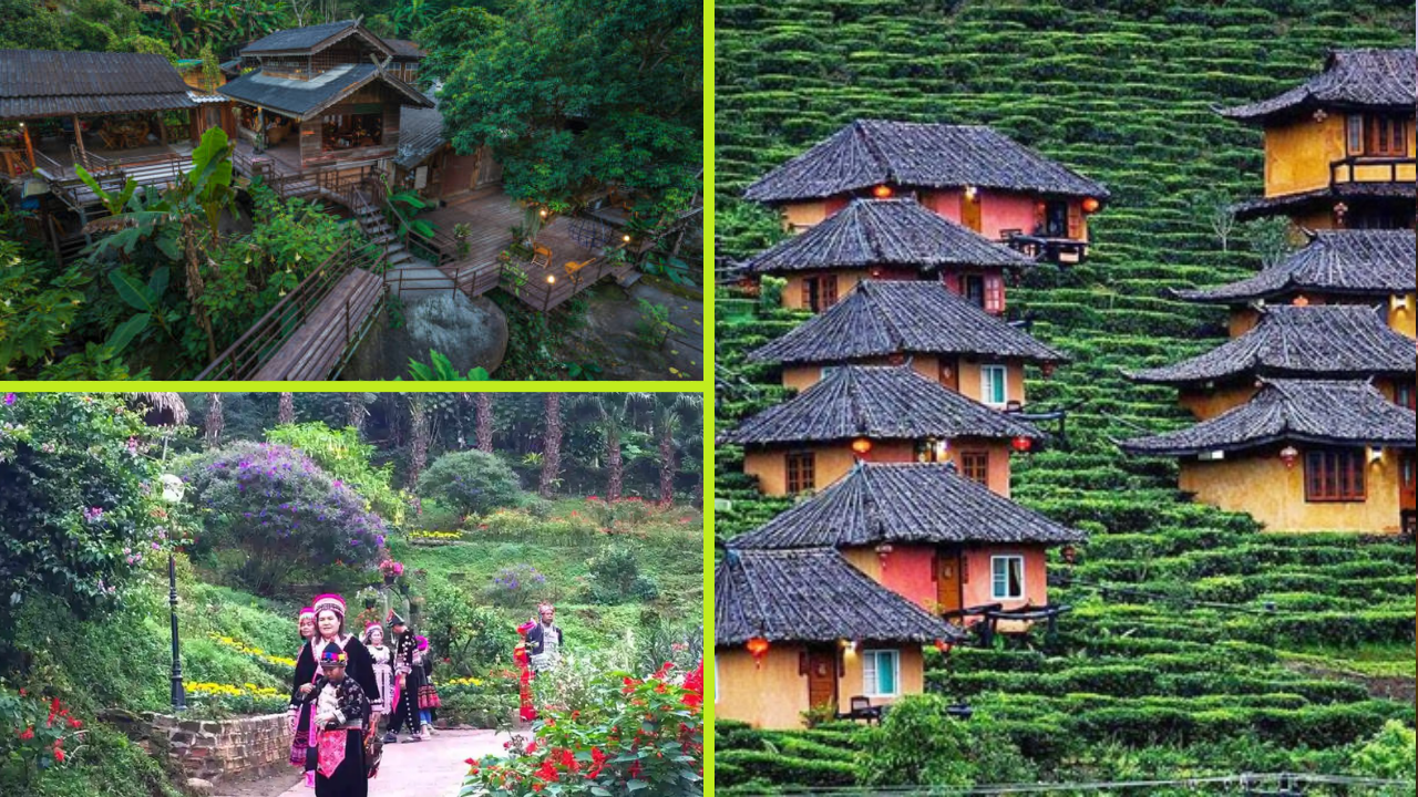 vegan sustainable hotels ASEAN