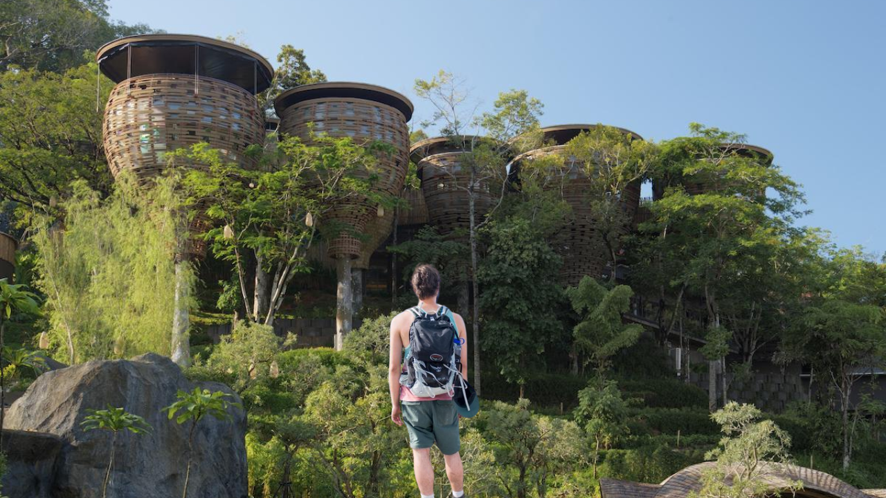 treehouse hotel asea