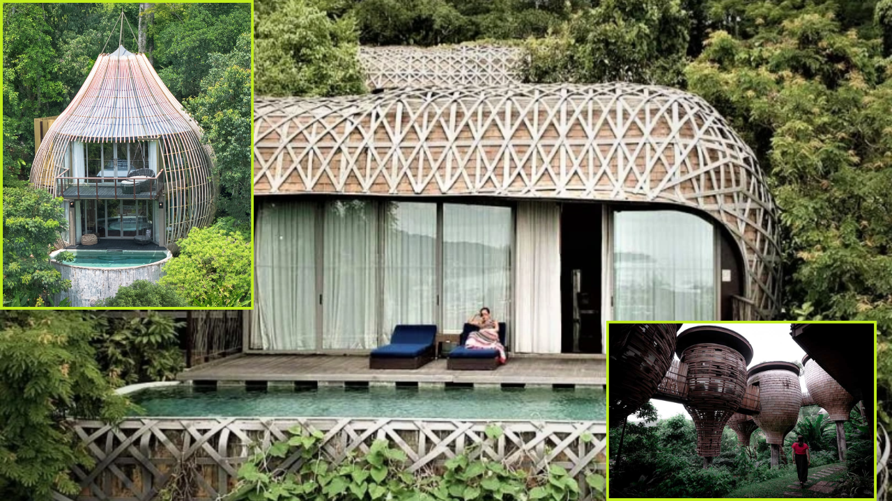 treehouse hotel asea