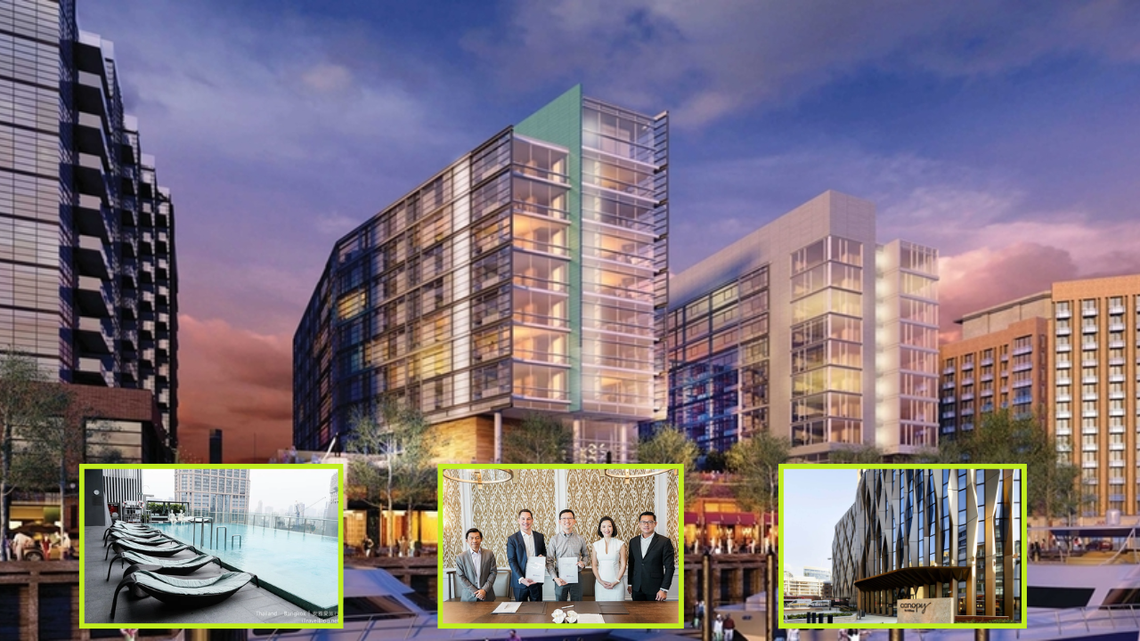 Pet Friendly Sustainable Hotels