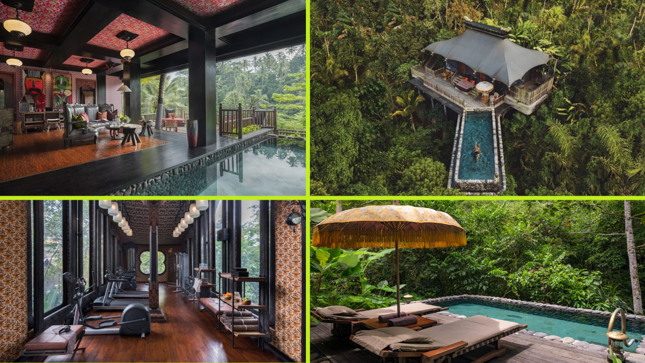 Pet Friendly Sustainable Hotels