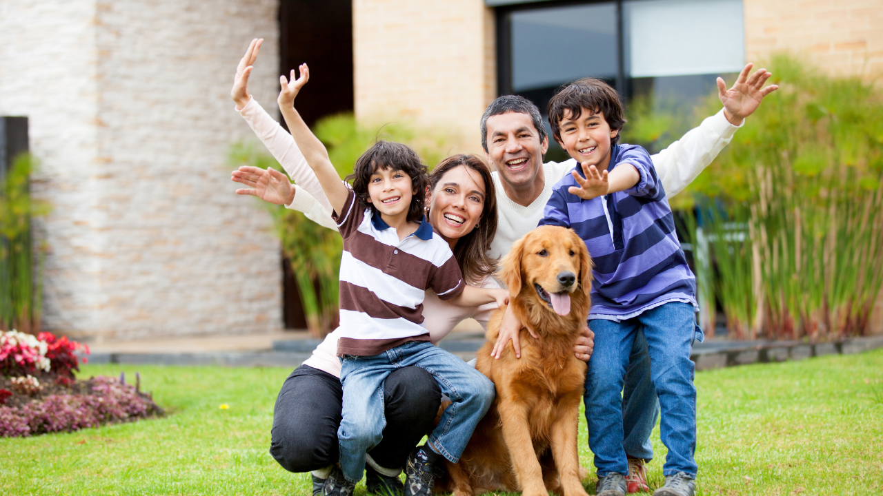 Pet Friendly Sustainable Hotels