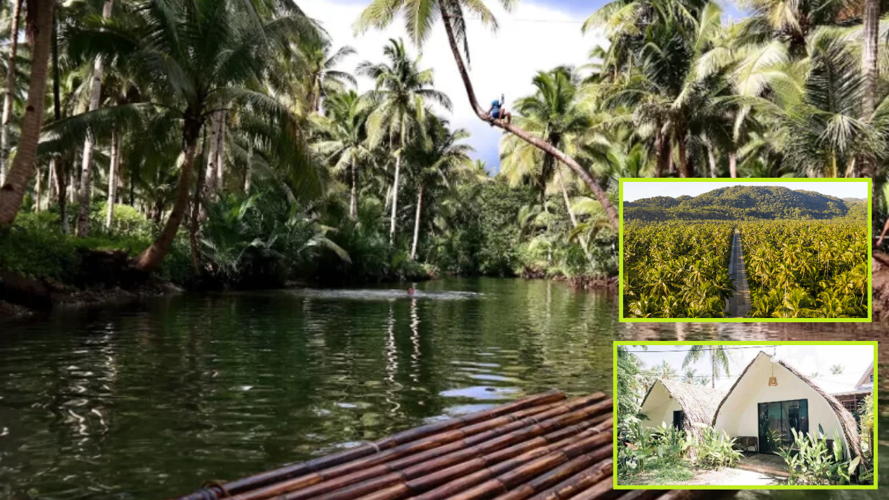 affordable eco hotels ASEAN