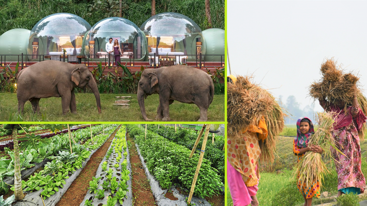 Eco Farm Hotels ASEAN