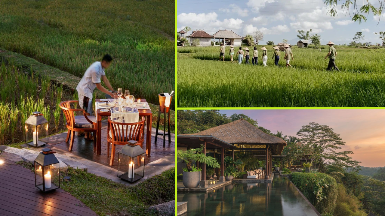 Eco Farm Hotels ASEAN
