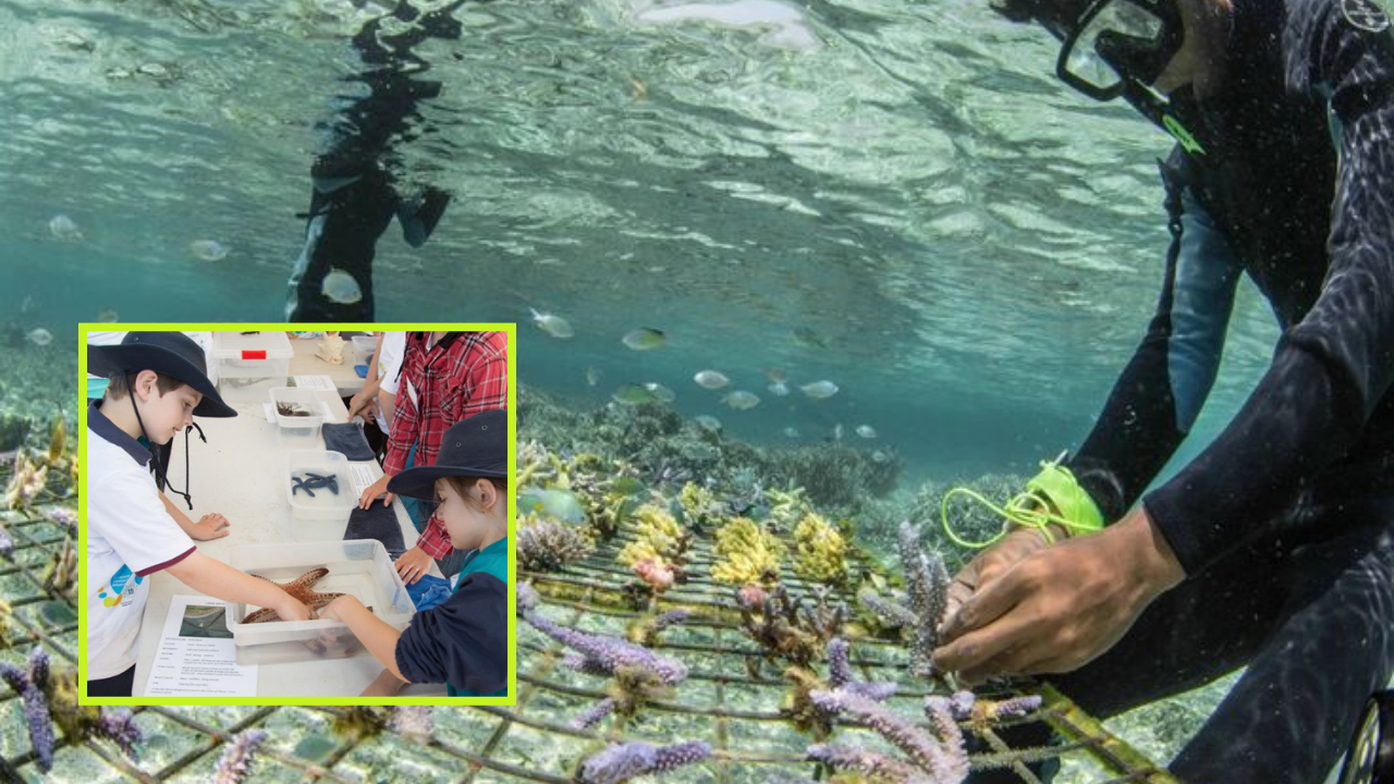 Reef Friendly Resorts