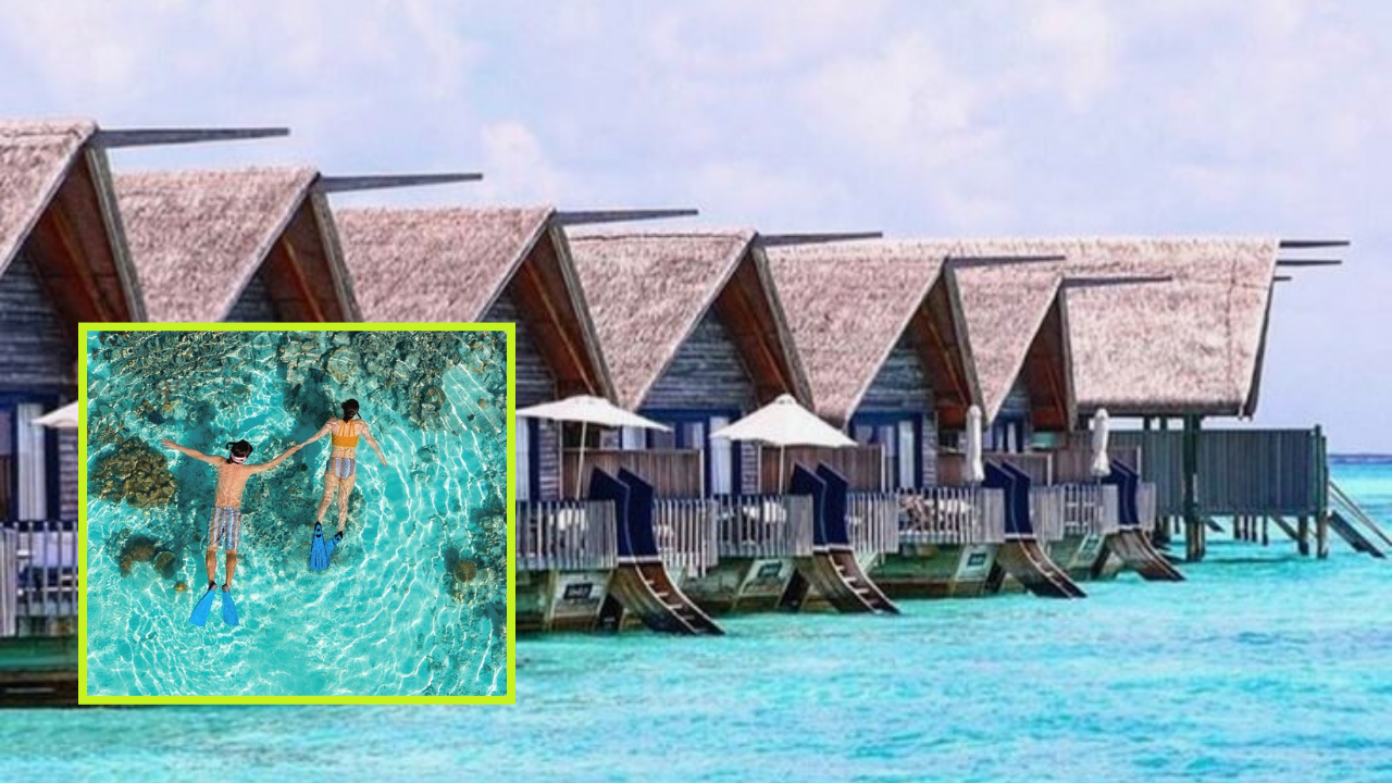 Reef Friendly Resorts