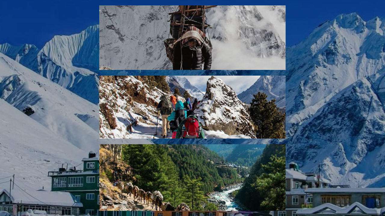 Eco-Friendly Adventure Tours