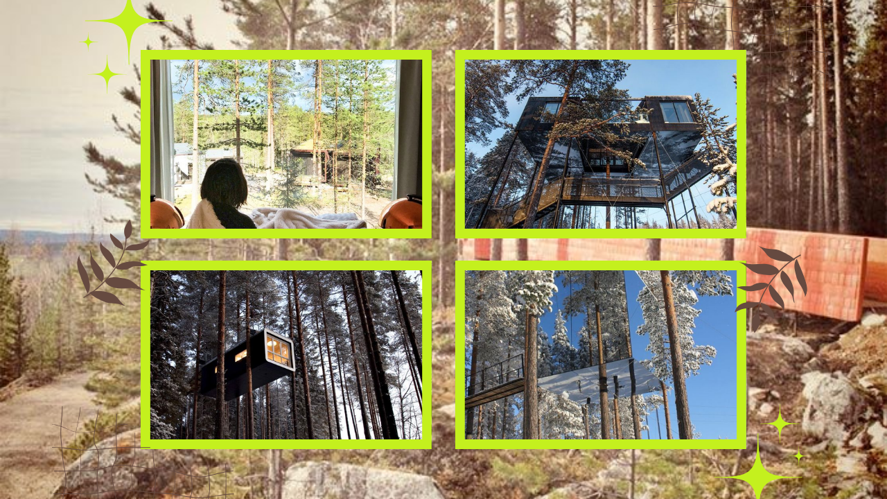 Sustainable Couples Retreats