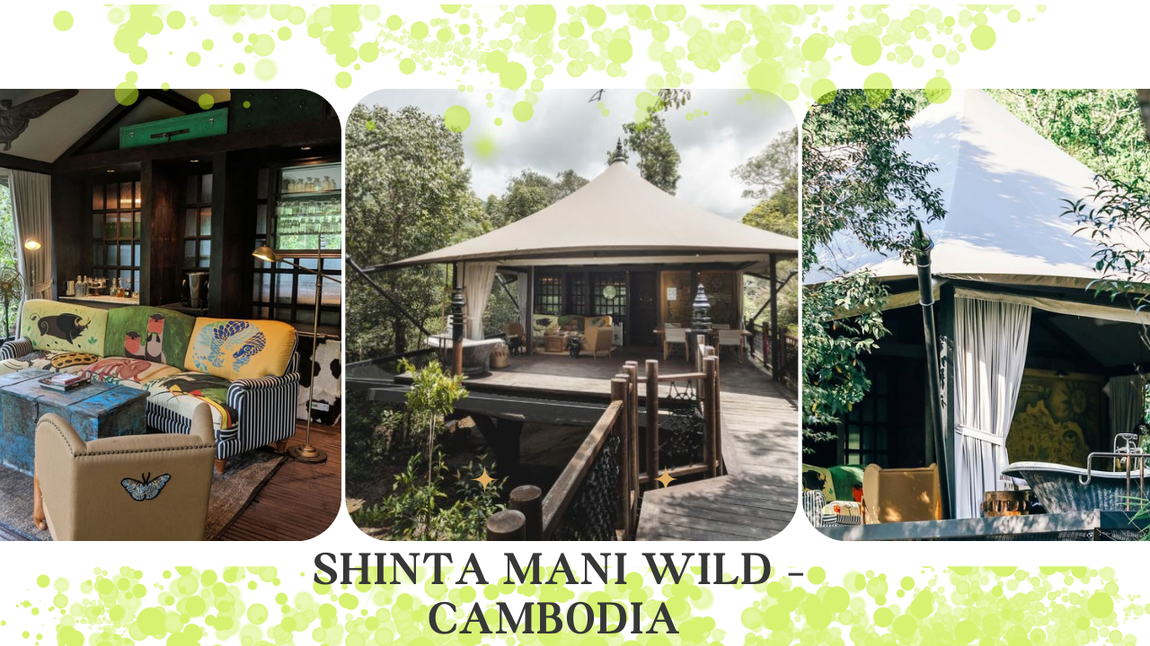 Luxury Eco-Friendly Resorts