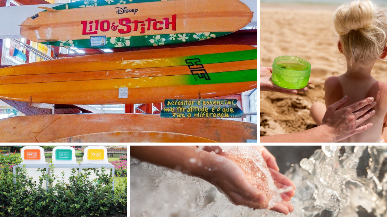 Eco-Friendly Surf Camps