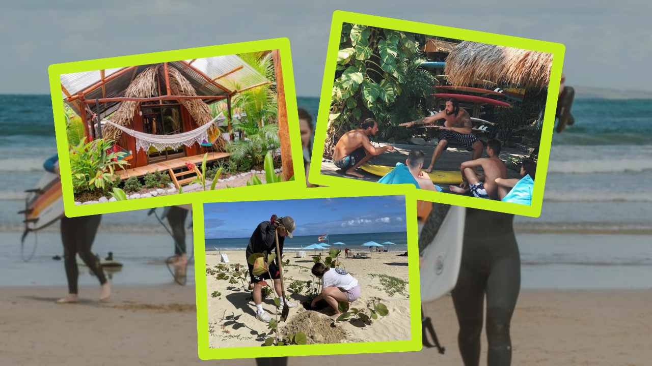Eco Surf Hostels