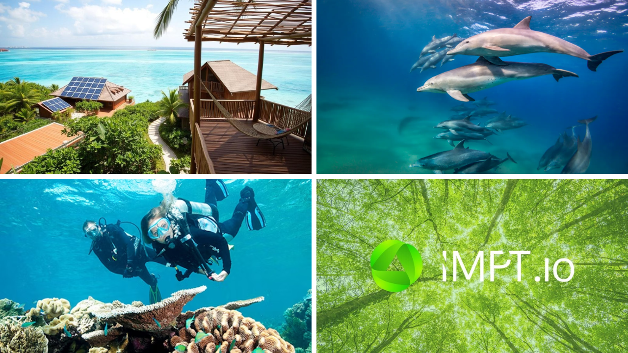 Marine Conservation Travel