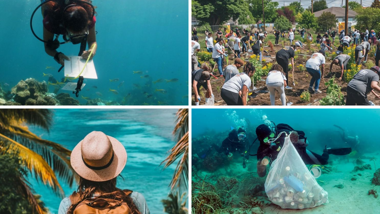 Marine Conservation Travel
