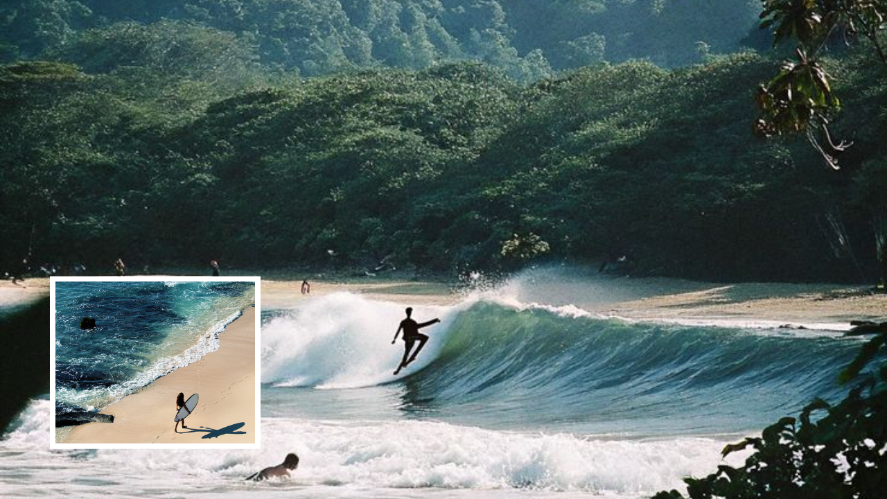 Reef-Safe Surf Tourism
