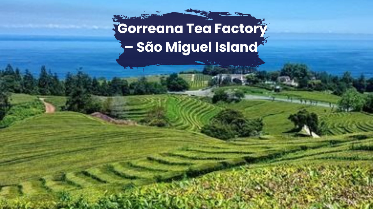 The Azores