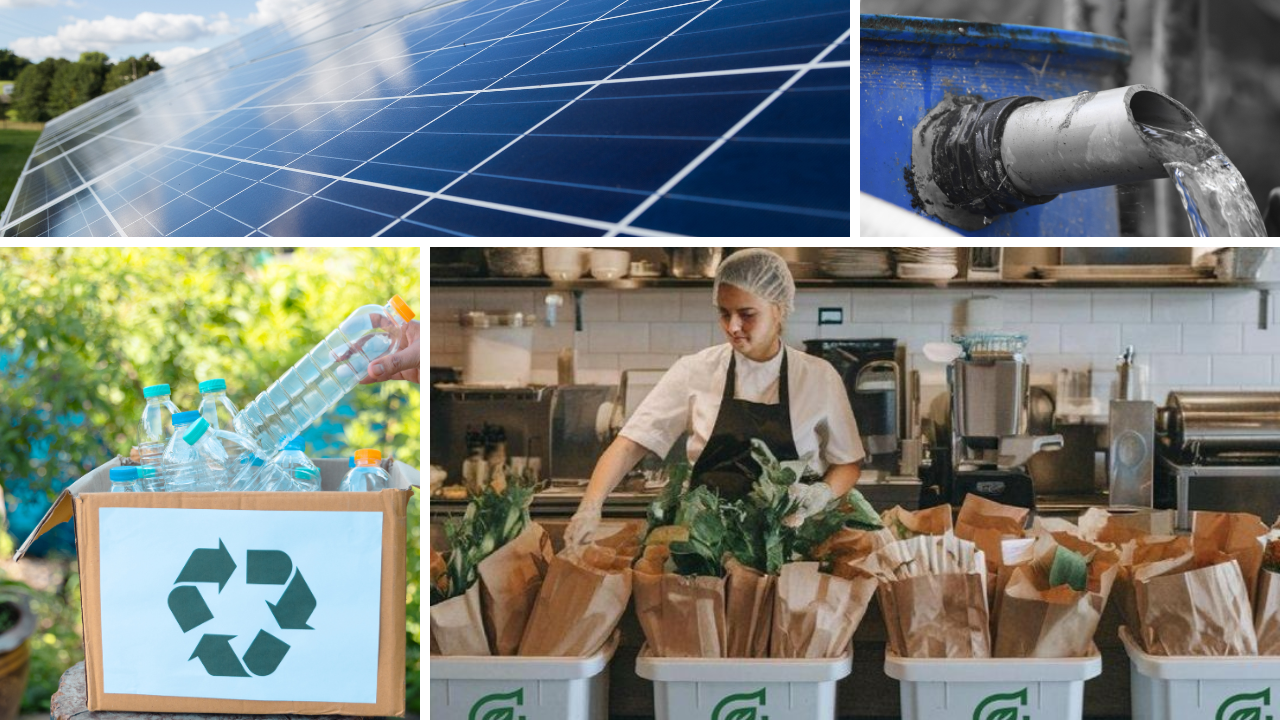 Eco-Friendly Stays