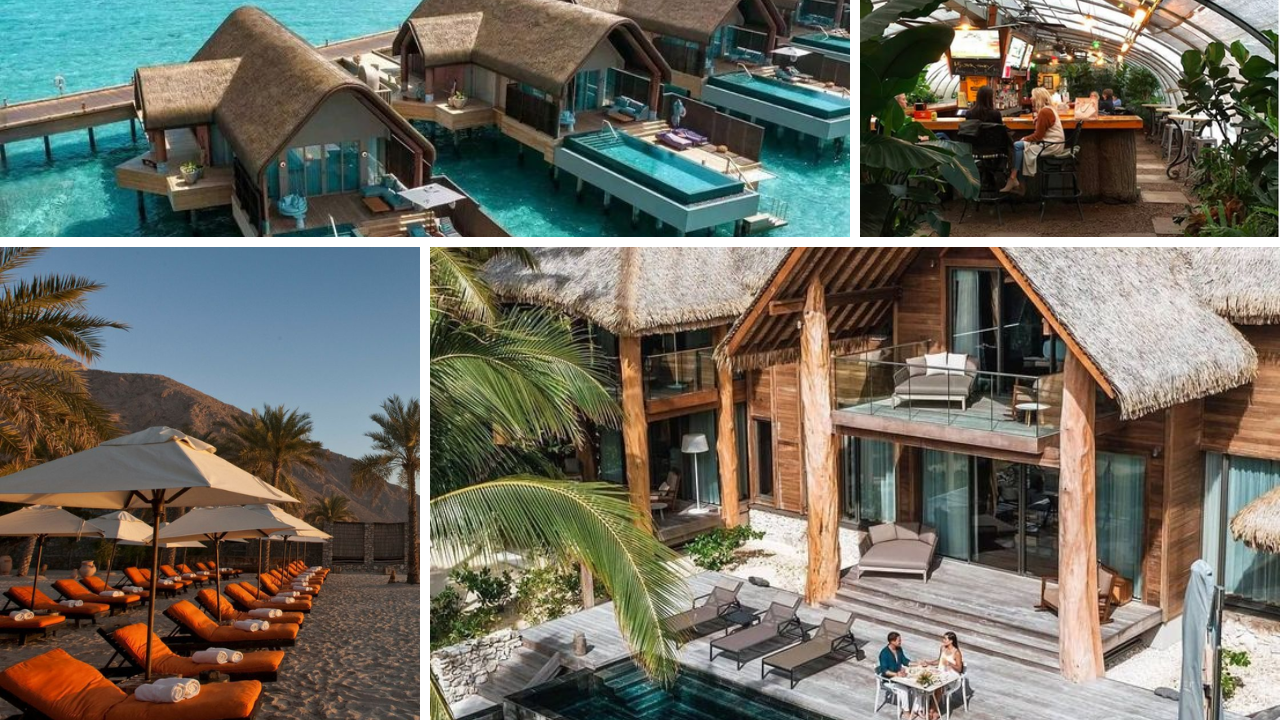 Eco-Friendly Stays