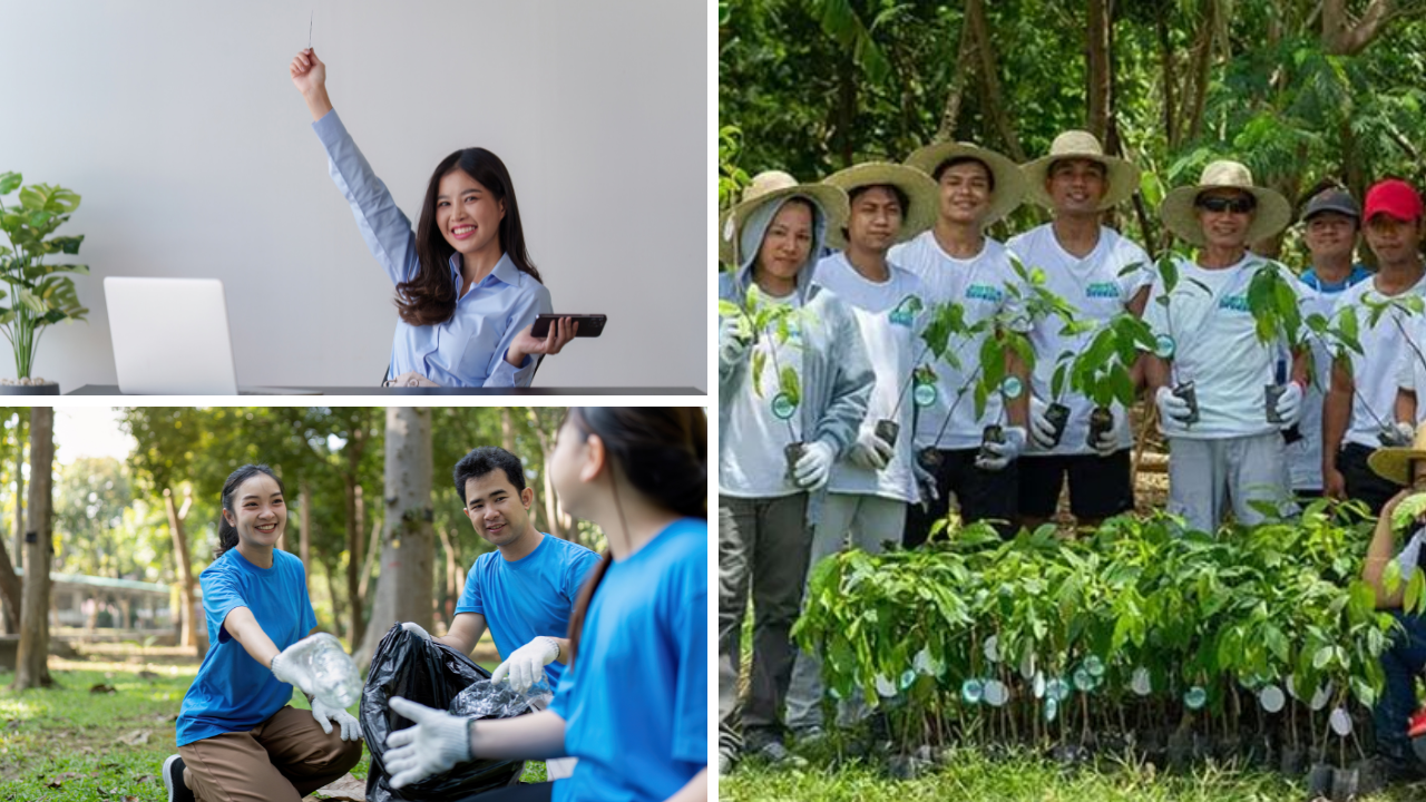 IMPT Carbon Offset