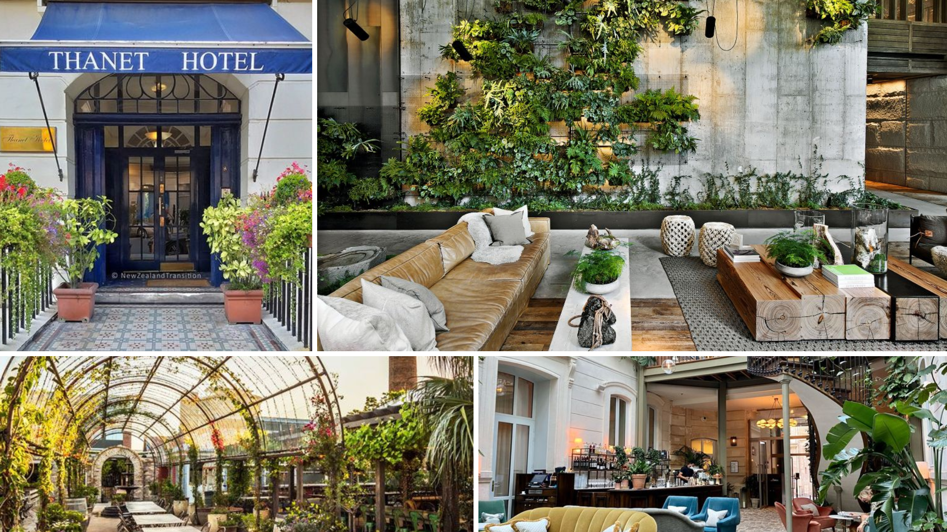 pet friendly sustainable hotels
