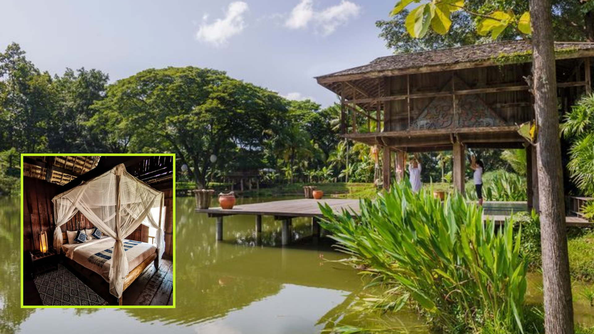 forest eco resorts Asia