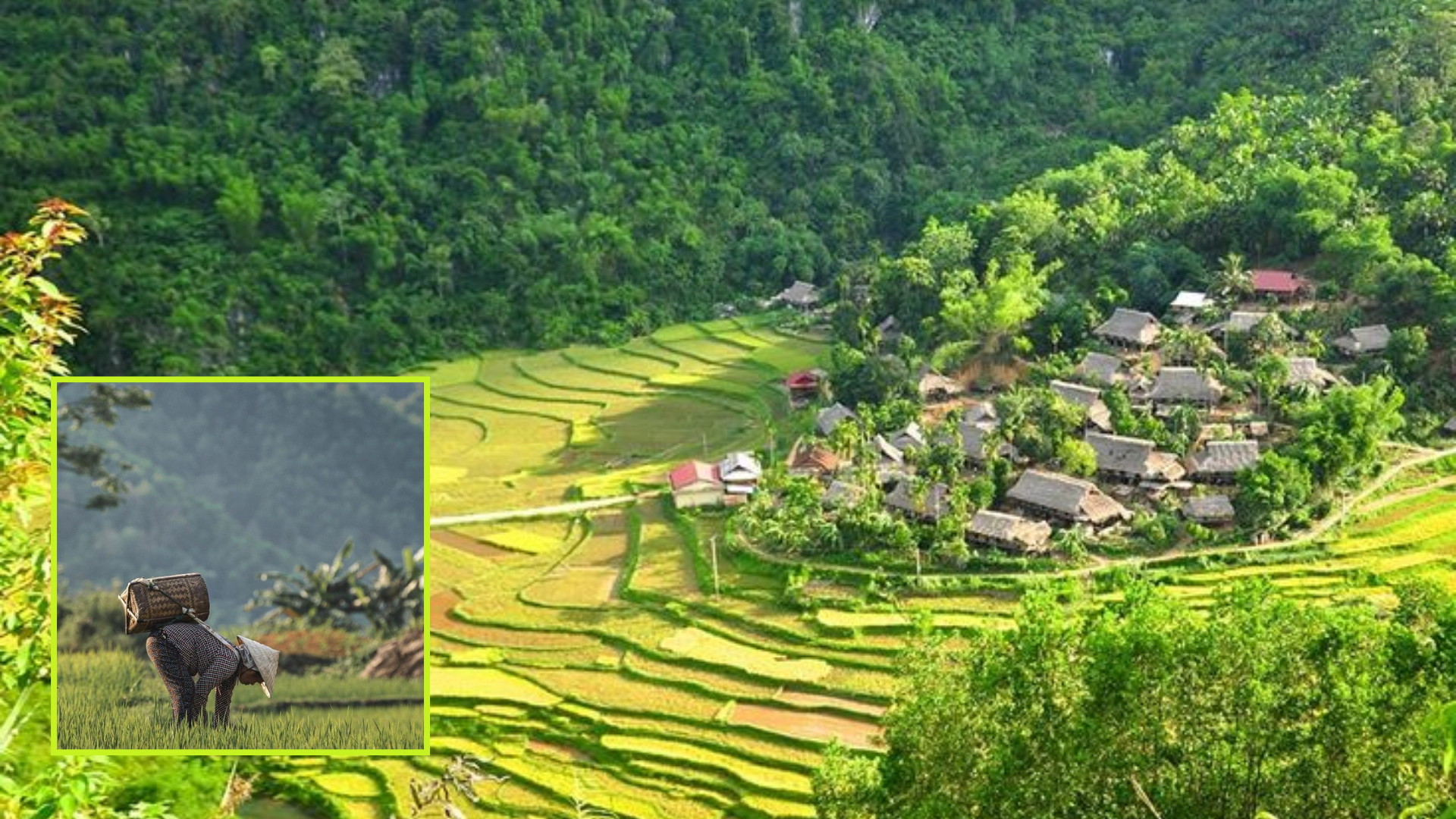 forest eco resorts Asia 