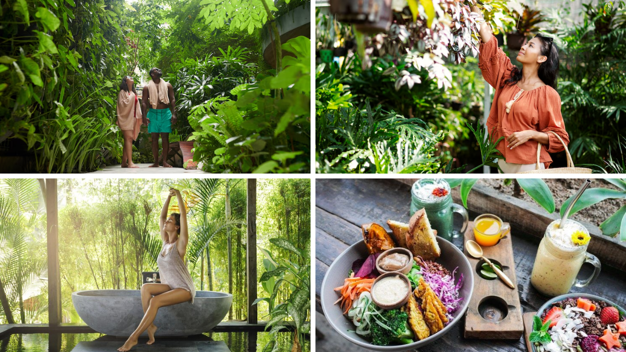 vegan sustainable hotels ASEAN 