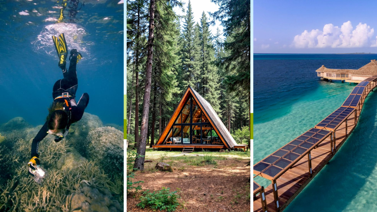 Eco-Friendly Travel