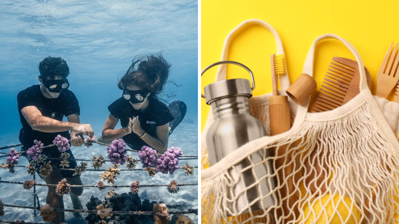 Coral Reef Friendly Hotels