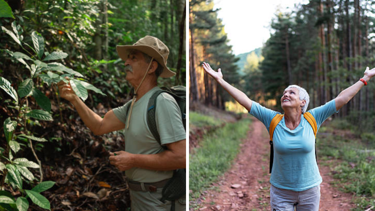 Ethical Tourism for Seniors