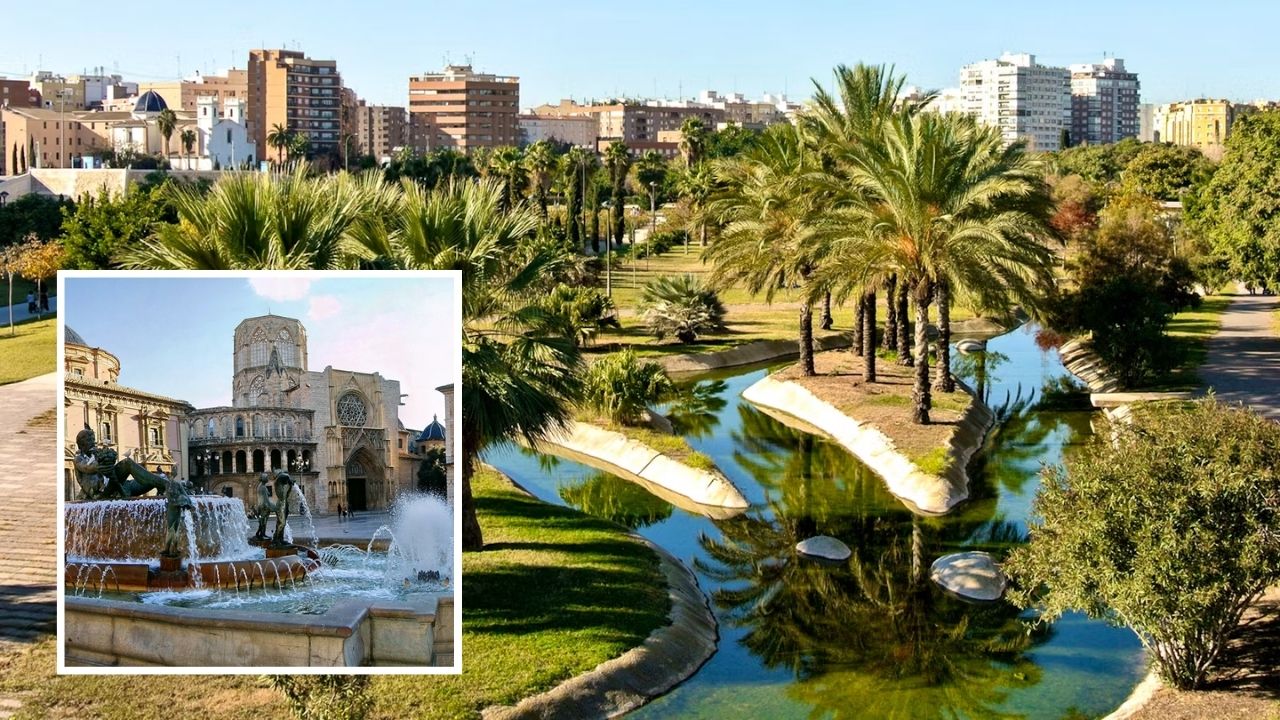 pet-friendly last-minute hotels Valencia