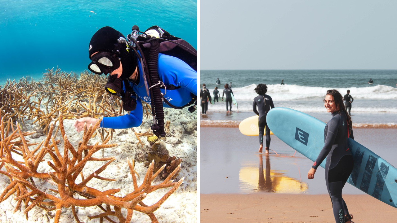 Reef-Safe Surf Tourism