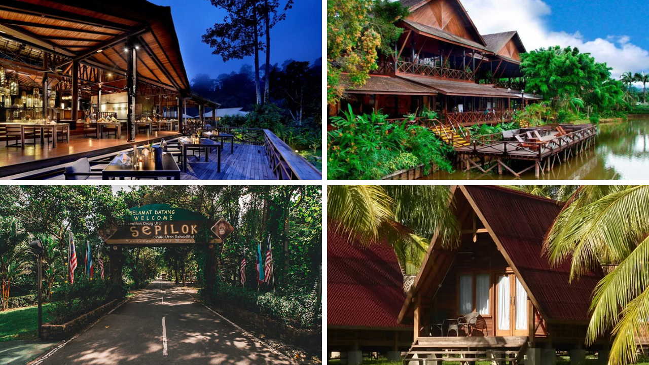 rainforest retreats Borneo