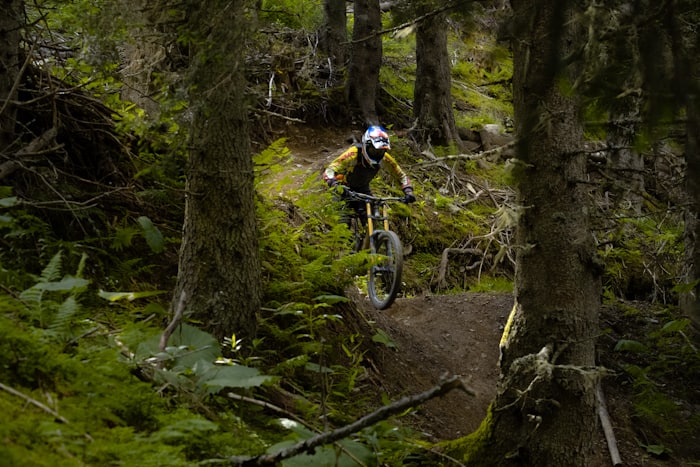 Mountain biking near Bellwald