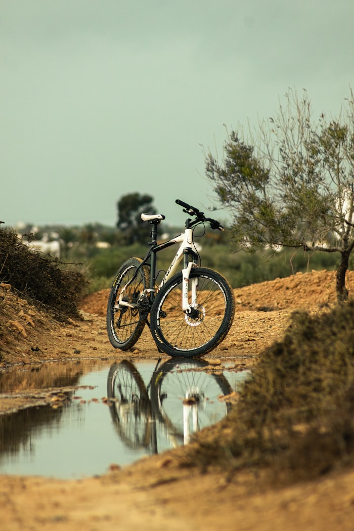 Mountain biking near Flims-Laax