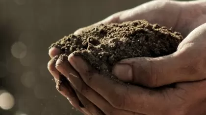 Aperam – Biochar from Brazilian Charcoal